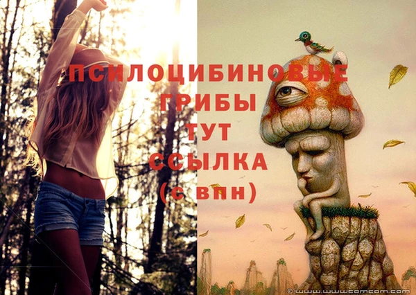 дживик Мегион