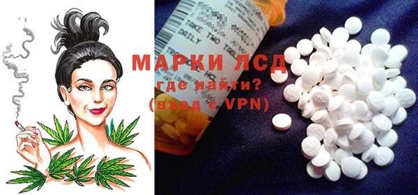 гидра Алексеевка