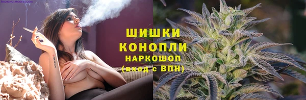 гидра Алексеевка