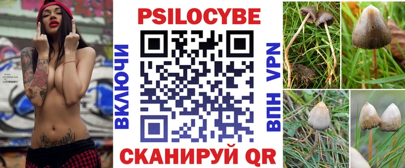 MEGA рабочий сайт Новотитаровская Псилоцибиновые грибы прущие грибы
