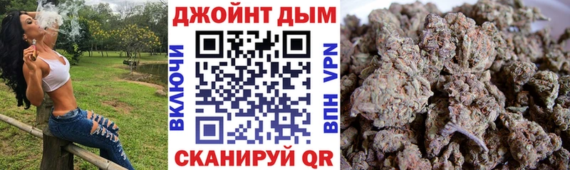 Каннабис сатива  закладки  blacksprut ССЫЛКА  Новотитаровская 